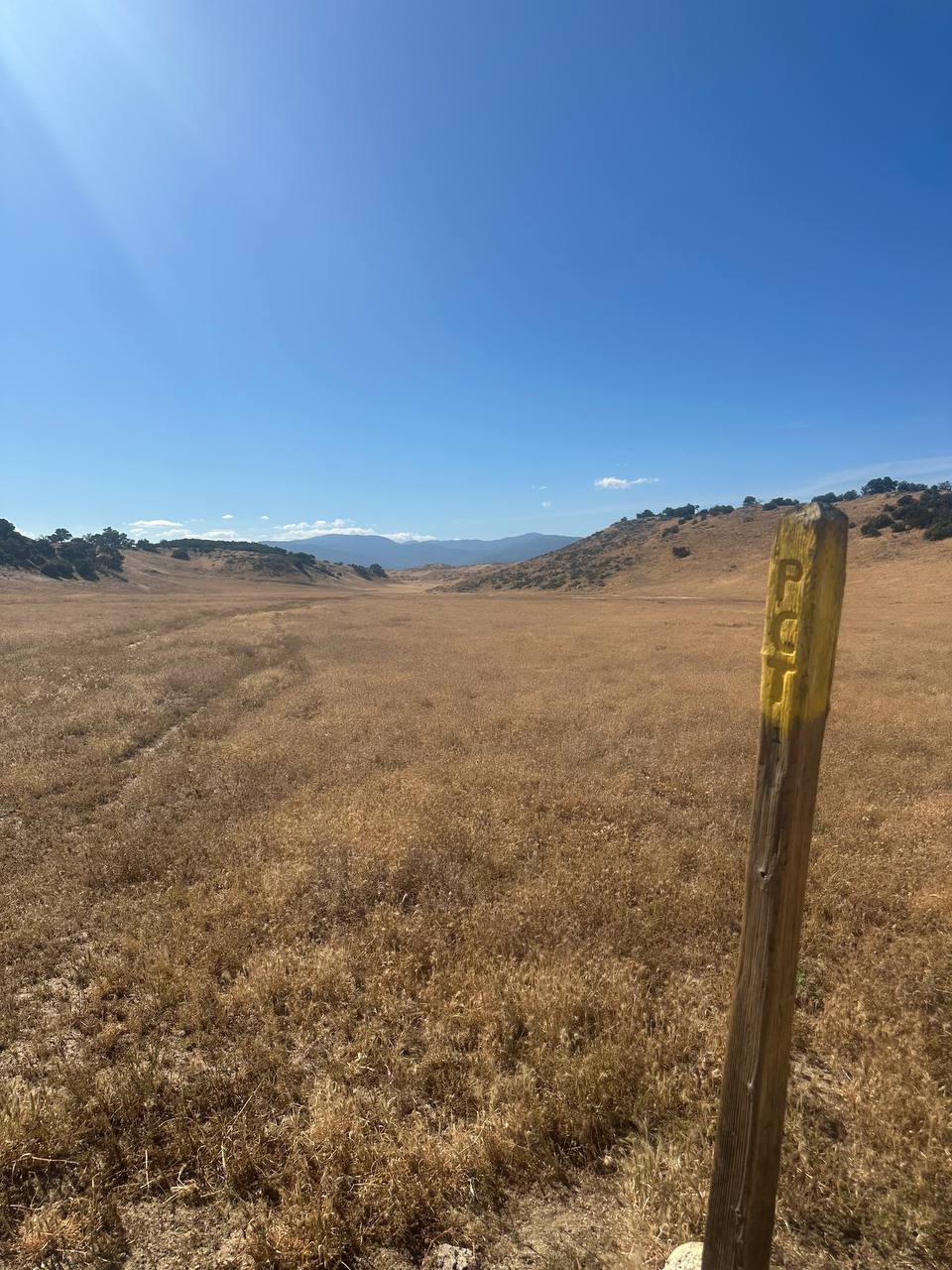 Trail, April 22