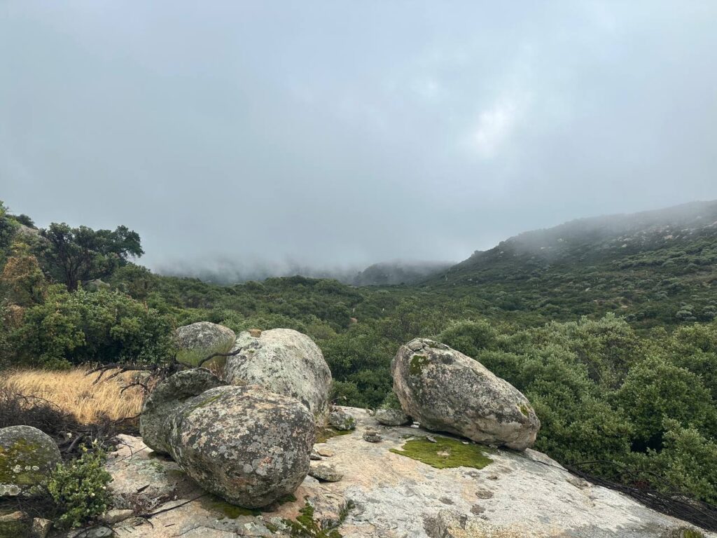 Rainy misty PCT trail day 2 boulders and fog