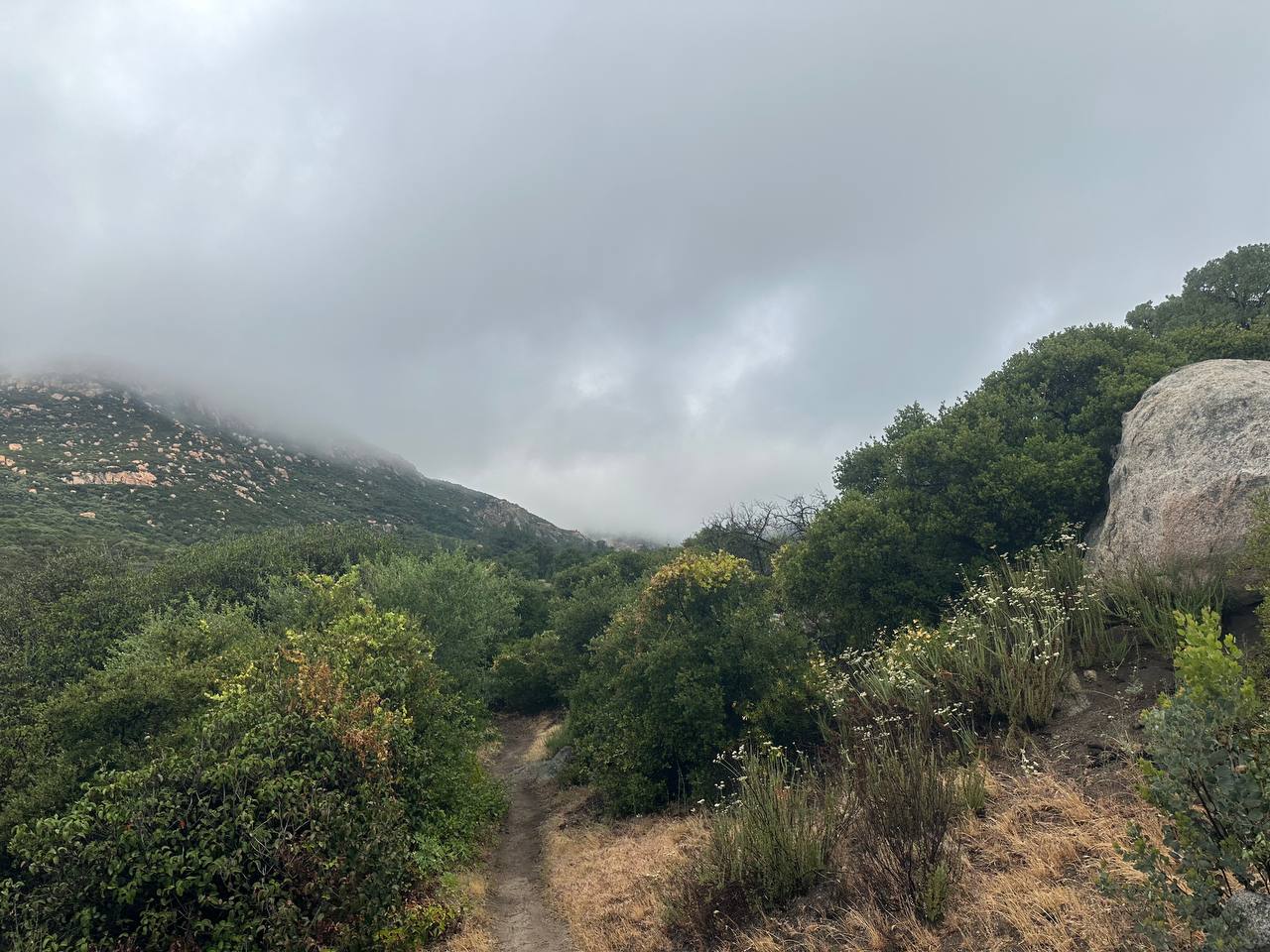 April 13 — wet trail