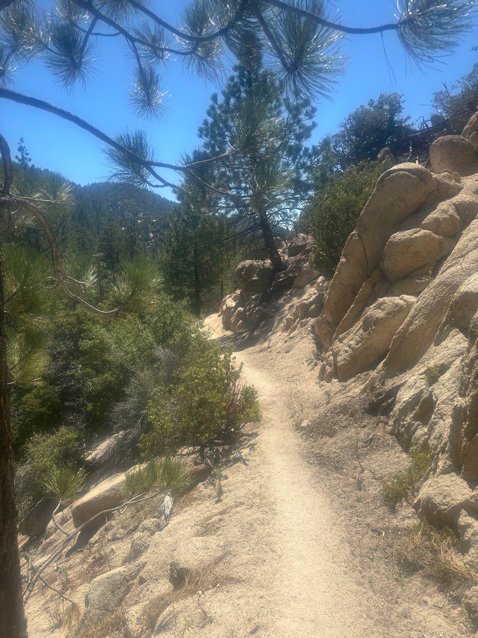 Trail on day 34