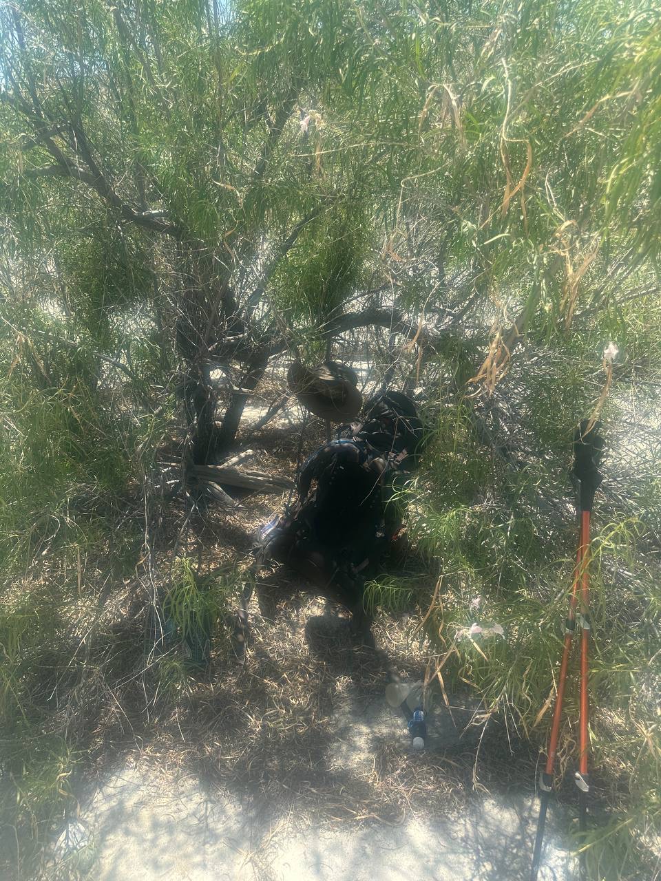 Searching for shade on the PCT